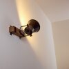 Skodsbol Applique Legno scuro, Acciaio satinato, 1-Luce