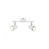 Globo Faretto da soffitto LED Bianco, 2-Luci