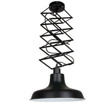 Steinhauer Mexlite Lampada a Sospensione Nero, 1-Luce