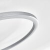Lithgow Plafoniera LED Argento, 1-Luce