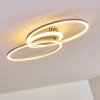 Lithgow Plafoniera LED Argento, 1-Luce