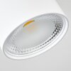 Kristallo Plafoniera LED Bianco, 1-Luce