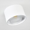 Kristallo Plafoniera LED Bianco, 1-Luce