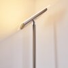 Veteli Piantana LED Acciaio inox, 2-Luci