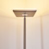 Veteli Piantana LED Acciaio inox, 2-Luci