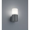 Applique da esterno Trio Leuchten HOOSIC Antracite, 1-Luce