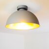 Saro Plafoniera Grigio, 1-Luce