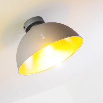 Saro Plafoniera Grigio, 1-Luce