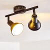 Polmak Faretto da soffitto Nero-Oro, 2-Luci