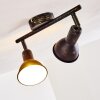 Polmak Faretto da soffitto Nero-Oro, 2-Luci