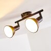 Polmak Faretto da soffitto Nero-Oro, 2-Luci