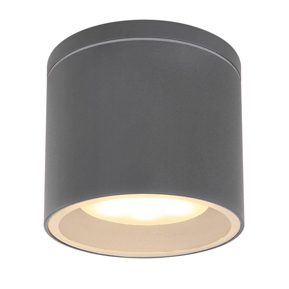 Plafoniera da esterno Globo ALCALA Antracite, 1-Luce main product photo