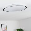 Vejle Plafoniera LED Bianco, 2-Luci, Cambia colore