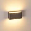 Duluth Applique da esterno LED Antracite, 1-Luce