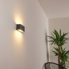 Duluth Applique da esterno LED Antracite, 1-Luce