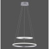 Leuchten Direkt Ls-CIRCLE Lampada a Sospensione LED Acciaio inox, 1-Luce, Telecomando, Cambia colore