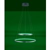 Leuchten Direkt Ls-CIRCLE Lampada a Sospensione LED Acciaio inox, 1-Luce, Telecomando, Cambia colore