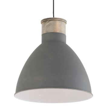 Steinhauer Vivette Lampadario a sospensione Grigio, Legno chiaro, 1-Luce