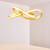 Woyens Lampada a Sospensione LED Oro, 1-Luce