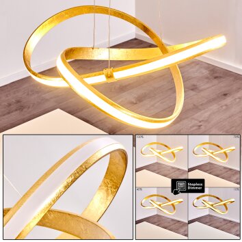 Woyens Lampada a Sospensione LED Oro, 1-Luce