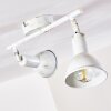 Polmak Faretto da soffitto Oro, Bianco, 2-Luci