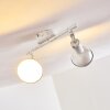 Polmak Faretto da soffitto Oro, Bianco, 2-Luci