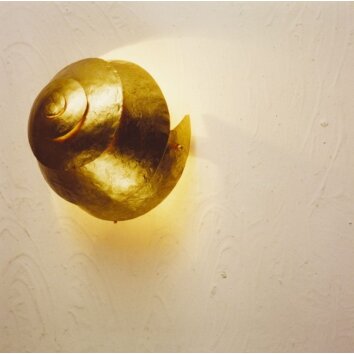 Holländer SNAIL ONE Applique Oro, 1-Luce