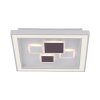 Plafoniera Paul Neuhaus ELIZA LED Bianco, 1-Luce