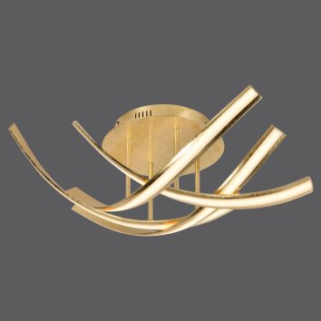 Paul Neuhaus LINDA Plafoniera LED Oro, 4-Luci