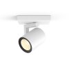 Philips Hue Ambiance White & Color Argenta Prolunga spot a parete/soffitto Bianco, 1-Luce, Cambia colore