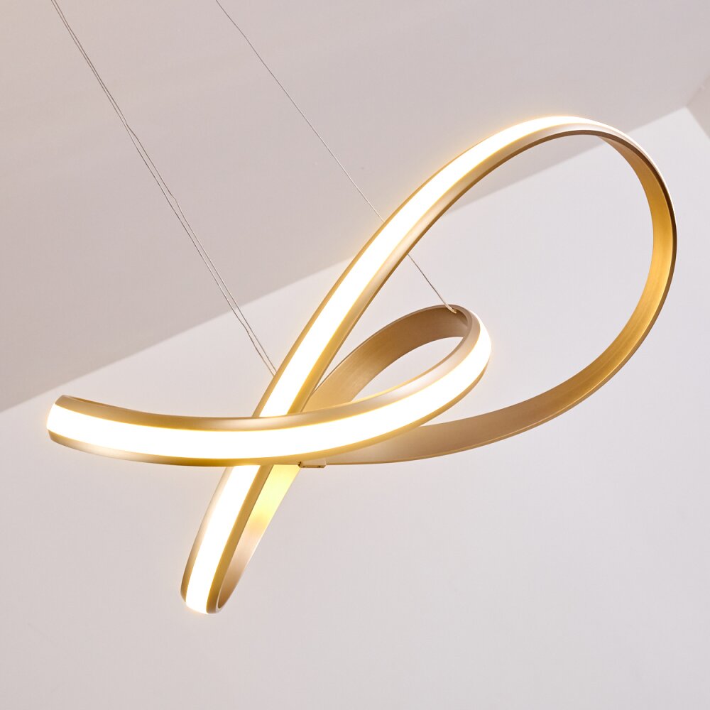 Woyens Lampada a Sospensione LED Acciaio satinato, 1-Luce