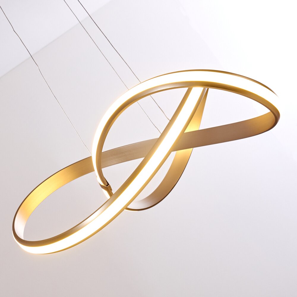Woyens Lampada a Sospensione LED Acciaio satinato, 1-Luce