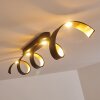 Rezat Plafoniera LED Nero-Oro, 1-Luce