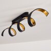 Rezat Plafoniera LED Nero-Oro, 1-Luce