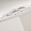 Beken Plafoniera LED Nichel opaco, 1-Luce