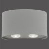 Applique Paul Neuhaus CARLO LED Argento, 4-Luci