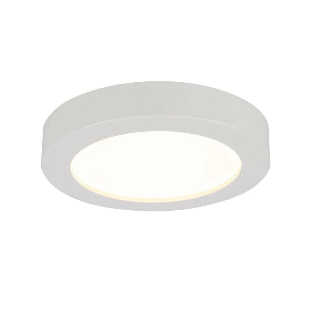 Globo PAULA Plafoniera LED Vetro, 1-Luce main product photo