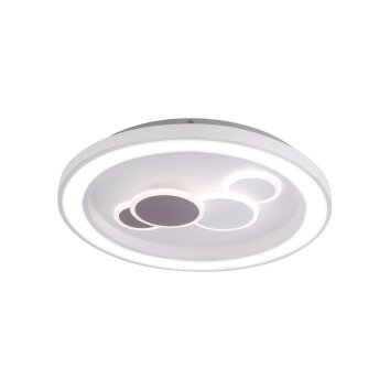 Plafoniera Paul Neuhaus ELIZA LED Bianco, 1-Luce