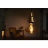 LEDVANCE VINTAGE Lampadario a sospensione Oro, 1-Luce