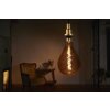 LEDVANCE VINTAGE Lampadario a sospensione Oro, 1-Luce