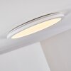 Siguna Plafoniera LED Bianco, 1-Luce