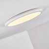 Siguna Plafoniera LED Bianco, 1-Luce