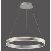 Paul Neuhaus Q-VITO Lampada a Sospensione LED Acciaio inox, 1-Luce, Telecomando