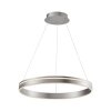 Paul Neuhaus Q-VITO Lampada a Sospensione LED Acciaio inox, 1-Luce, Telecomando