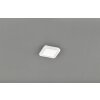 Reality CAMILLUS Plafoniera LED Bianco, 1-Luce