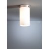 Tecnolumen DMB 31 Plafoniera Nichel opaco, 1-Luce