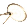 Steinhauer Zodiac Lampada da terra LED Bronzo, 1-Luce