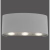 Applique Paul Neuhaus CARLO LED Argento, 6-Luci