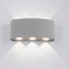 Applique Paul Neuhaus CARLO LED Argento, 6-Luci