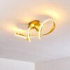 Woyens Plafoniera LED Oro, 1-Luce